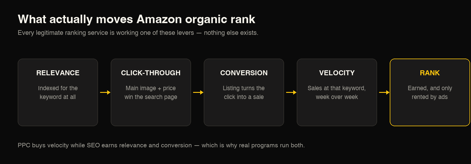 The five levers of Amazon organic rank: relevance means being indexed for the keyword at all, click-through means the main image and price win the search page, conversion means the listing turns the click into a sale, velocity means sales at that keyword week over week, and rank is earned from those four — ads can only rent it